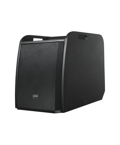 Système amplifié de type triphonique 750W