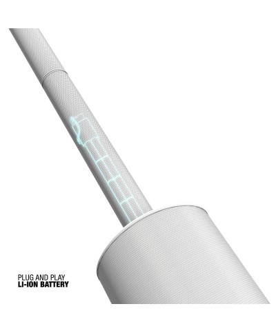 Système Son Actif Colonne LD Systems