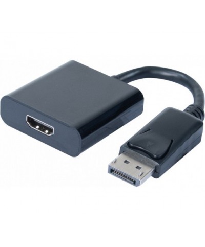 Convertisseur DisplayPort Mâle vers HDMI Femelle 20cm
