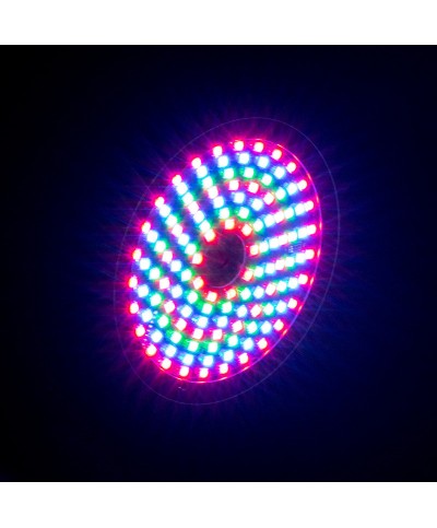 Effet RAYZER ADJ Led + laser