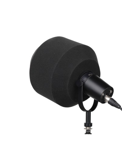 Alctron PF 7 Filtre Anti Pop